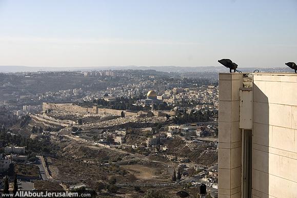 view_from_mount_scopus_campus