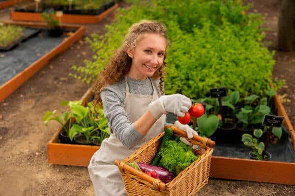 Community garden