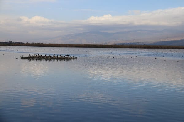 Hula Valley