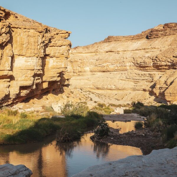 Negev desert