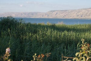 Sea of Galilee